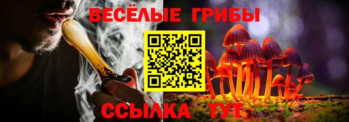 Псилоцибиновые грибы мицелий  Вход с VPN  Михайловск  Галлюциногенные грибы прущие грибы 